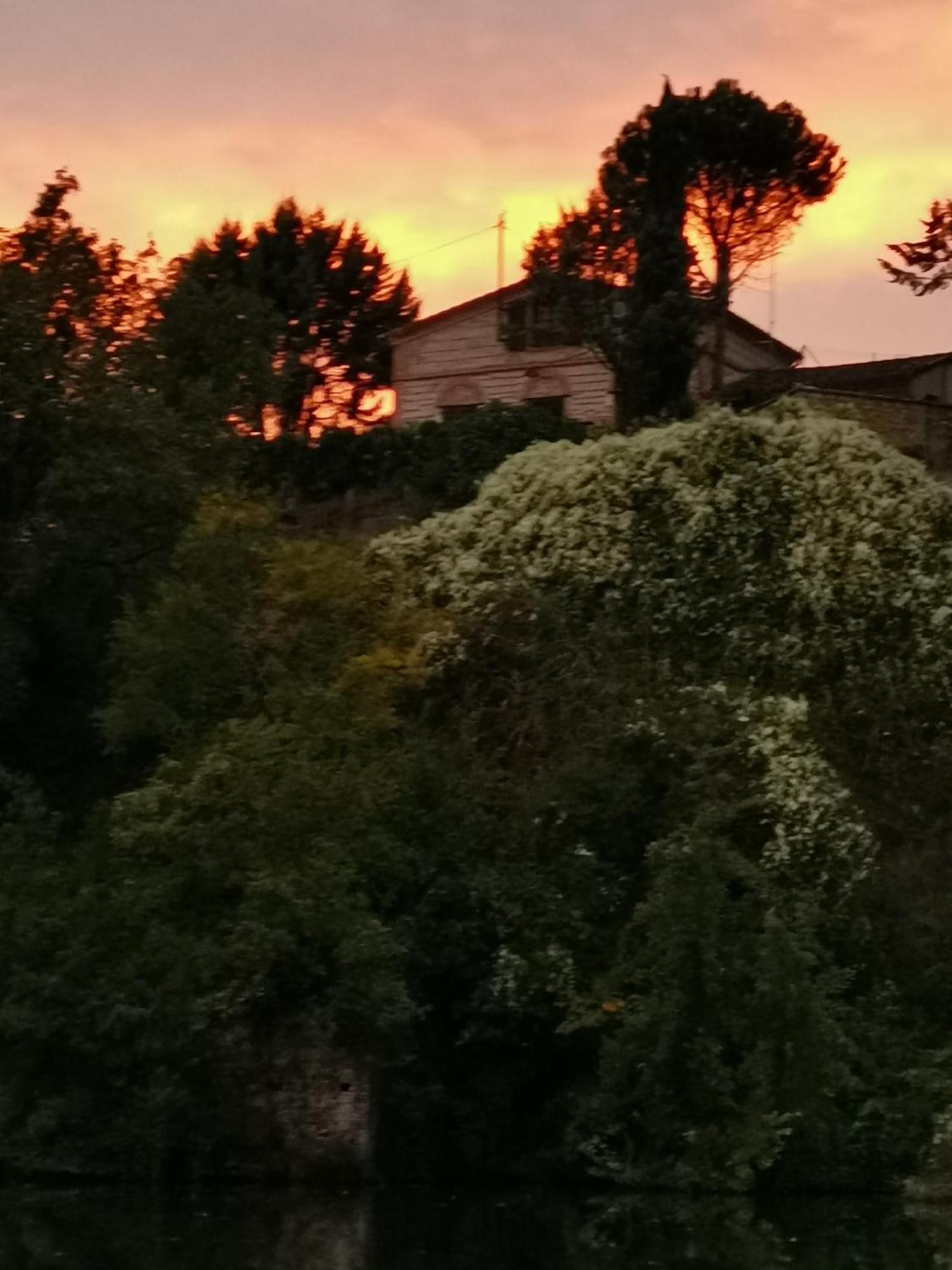 La Planque De L'Eclusier Villa Castelnau-de-Lévis Dış mekan fotoğraf